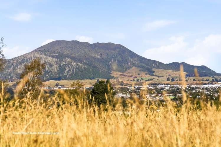 23 Walnut Lane Nukuhau_15