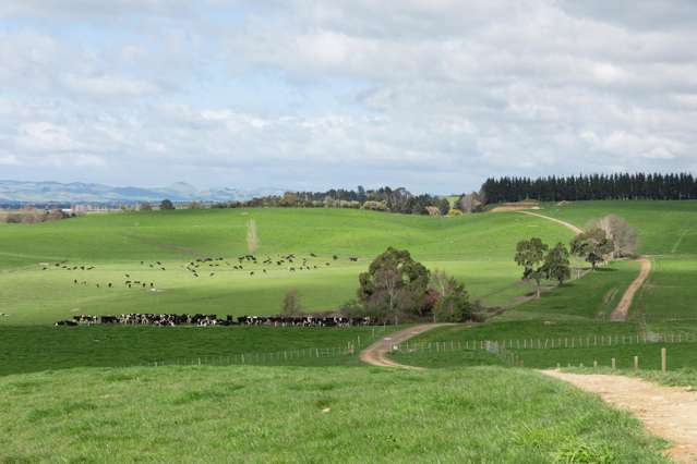 Indigo Heights | Dairy Support - Grass Factory