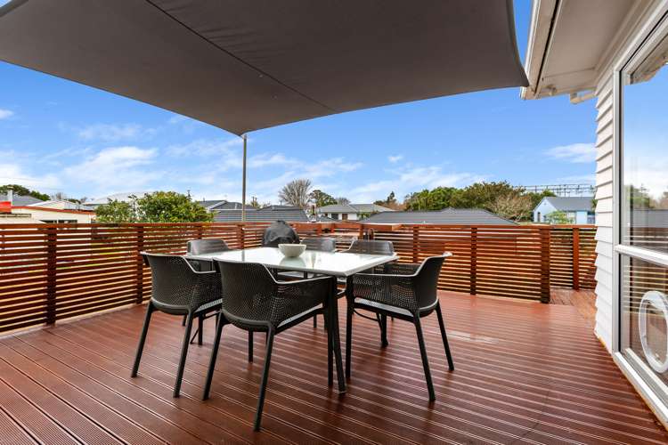 7 Saxton Road Upper Vogeltown_2