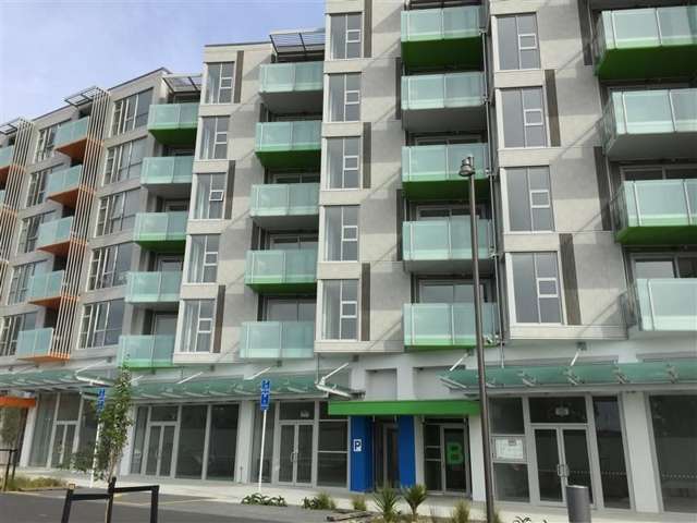 Convenient Apartment in Albany