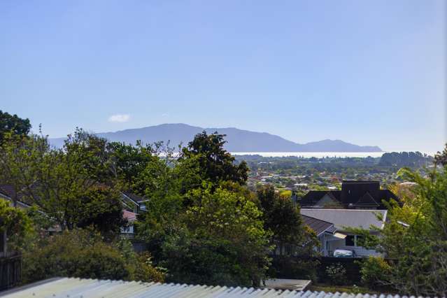 28 Kotare Street Waikanae_4