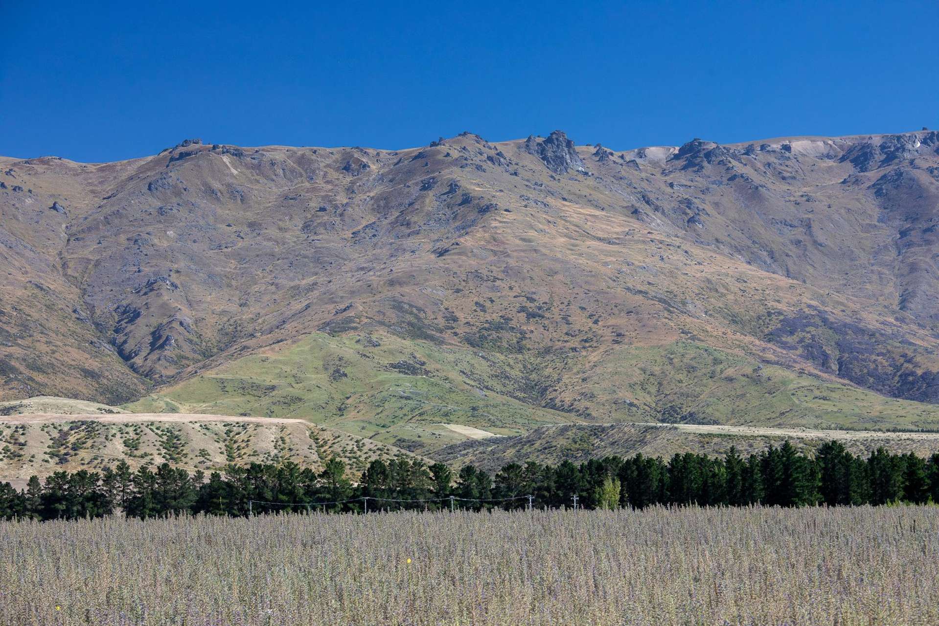 34A Sugarloaf Drive Cromwell Gorge_0