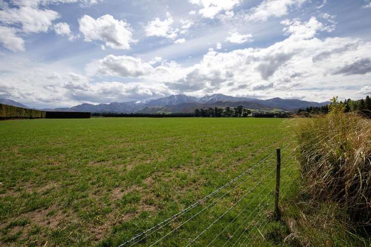 Kowai Road Springfield_8