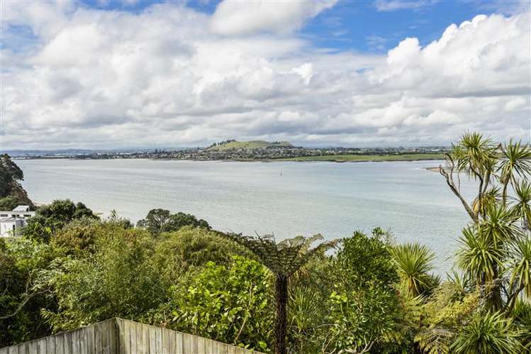 60 Aldersgate Road Hillsborough_16