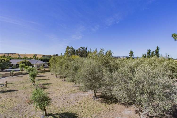 62 Courage Road Amberley_15