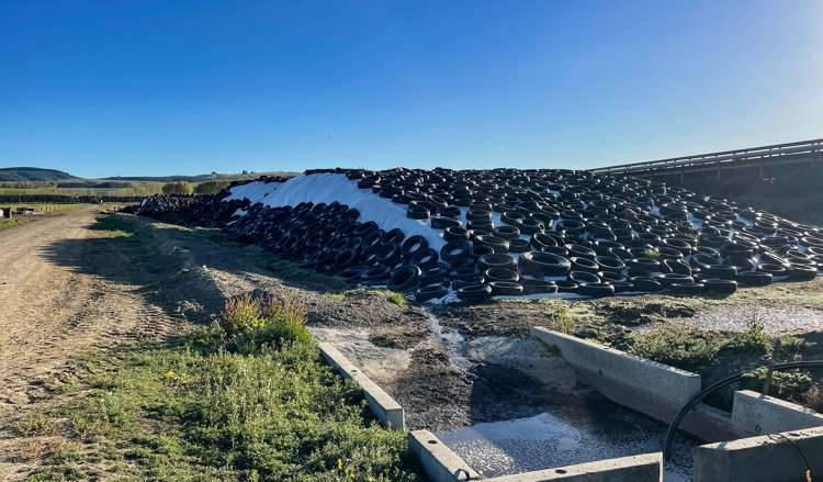 60 Moncurs Road West Otago Surrounds_12