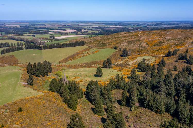 Maffeys Road Glentunnel_5