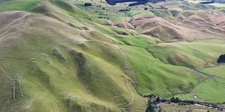 Mikimiki Road Masterton_12