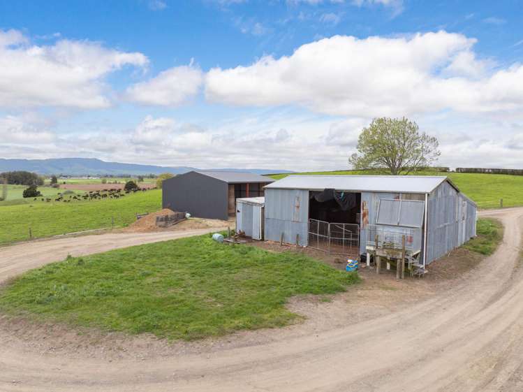 222 Gunn Road Matamata_18