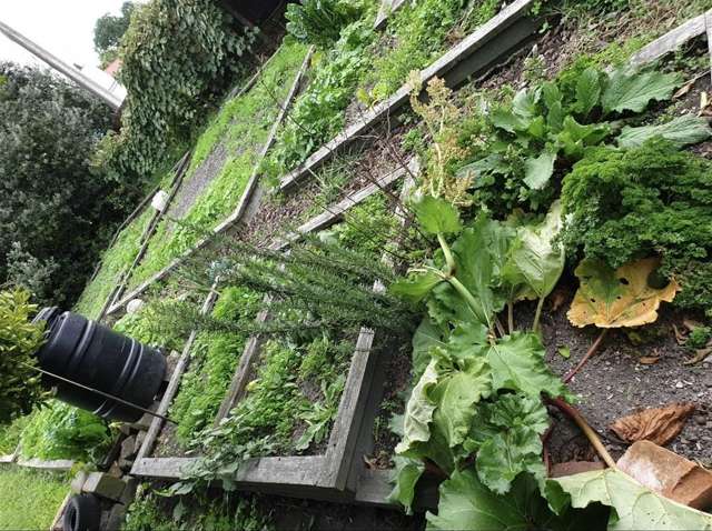 41 Owen Road Outer Kaiti_2