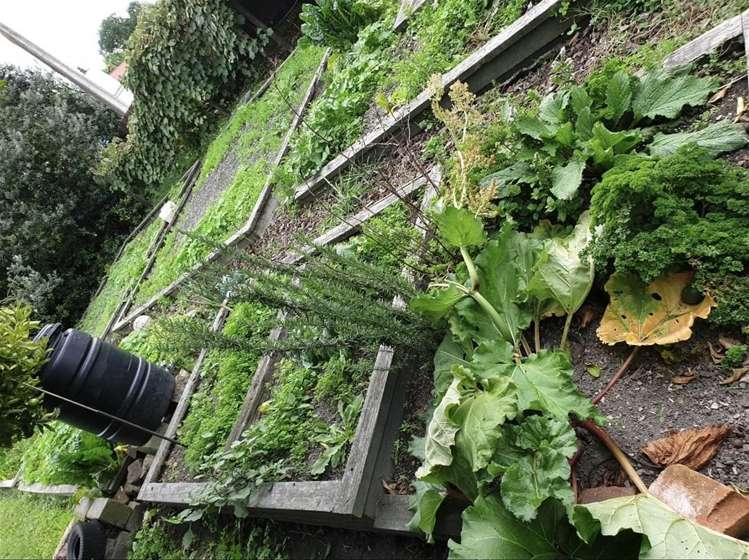 41 Owen Road Outer Kaiti_2