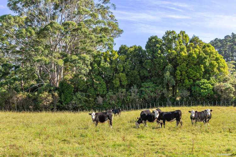 34 Waikopua Road Whitford_21