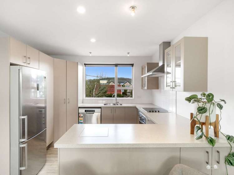 25c Montrose Street Sydenham_6