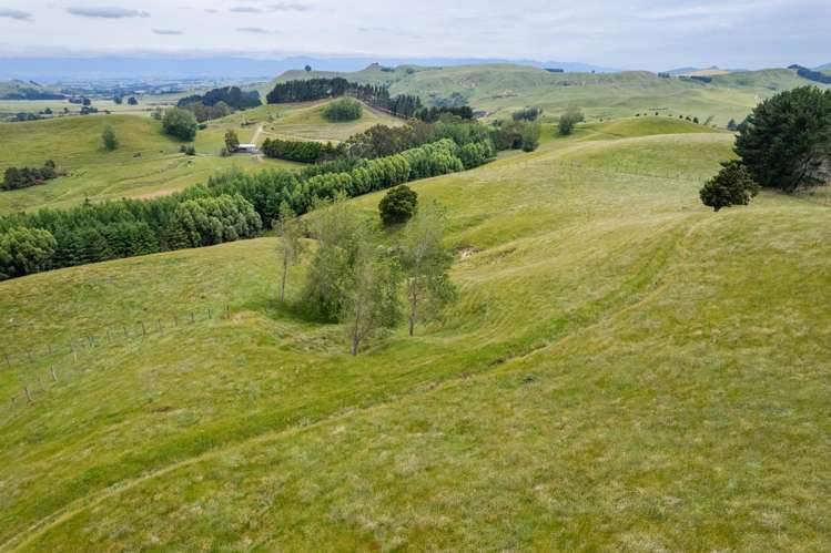 196 Ngapaeruru Road Dannevirke_16