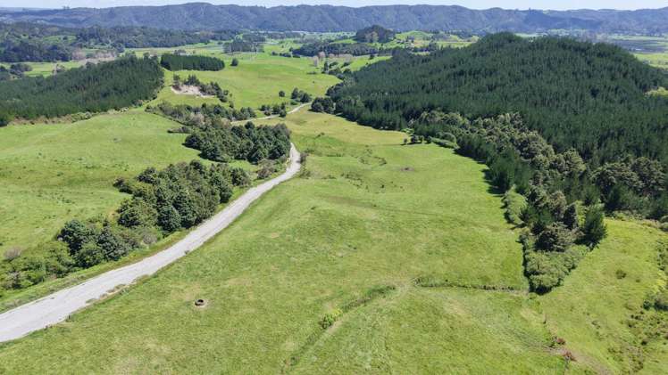 337 Mill Road Kawakawa_16