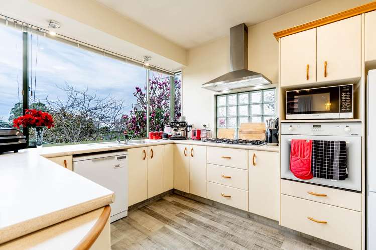 21A Evans Street Maori Hill_4