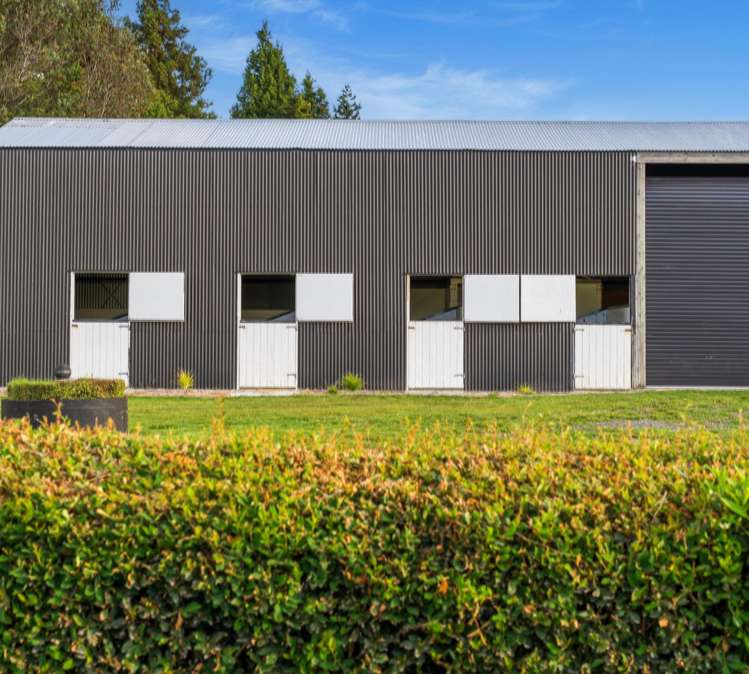 1235 Omanawa Road Omanawa_30