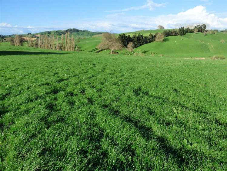 203/219 Paewhenua Road Maihiihi_16