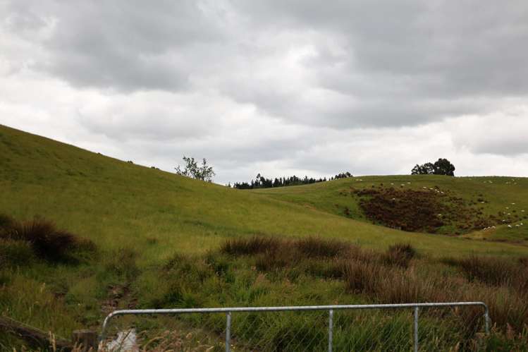 14 Railway Street Kakapuaka_36