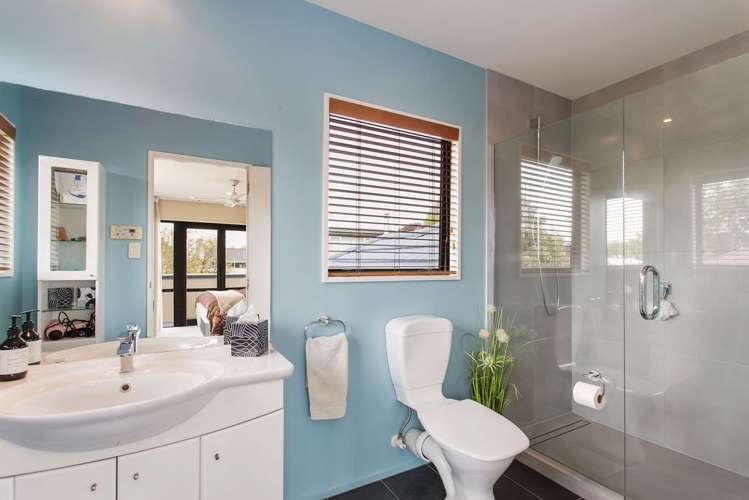 17a Young Street Somerfield_11