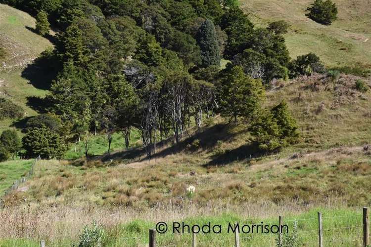 208 Heatley Road Whakapirau_45