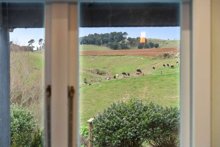 180 Andrews Road Onewhero_10