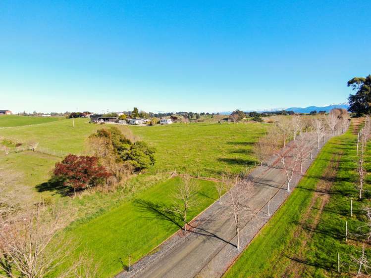 115 Marriages Road Tasman_16
