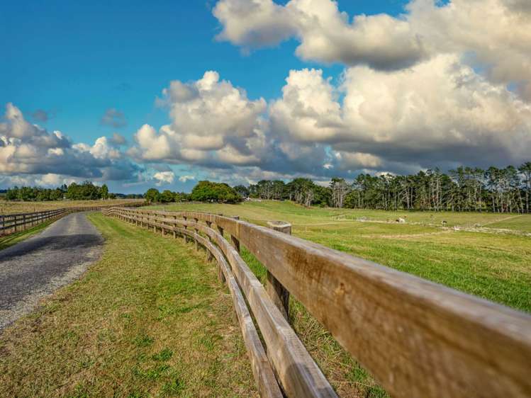 44E Selva Road_4