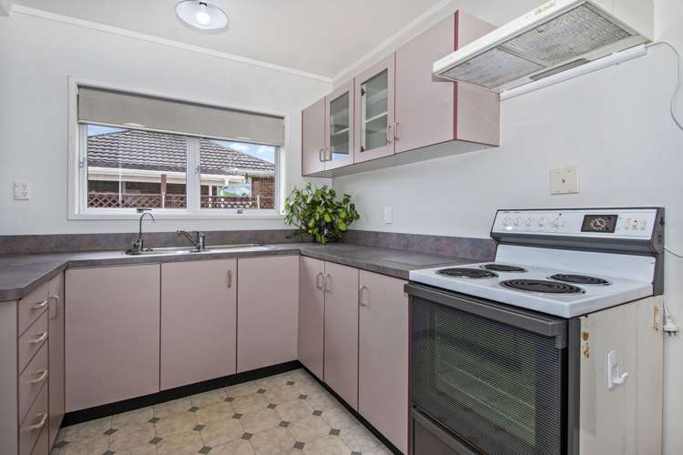 8a Elizabeth Street Kensington_6
