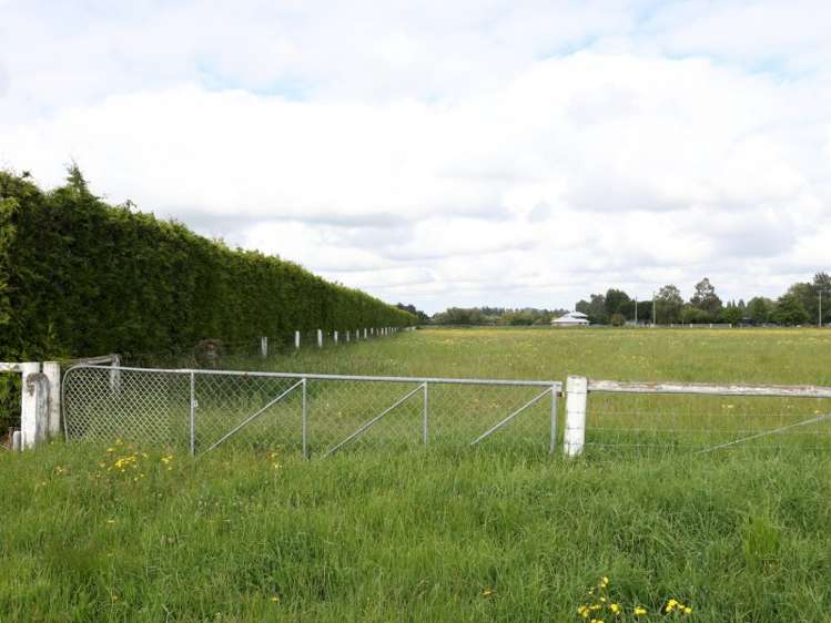 86 Carters Terrace Tinwald_4