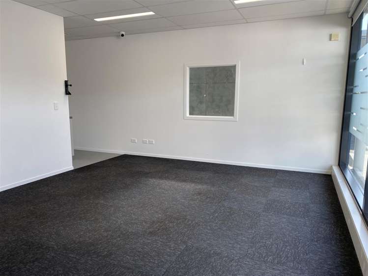 730 Arthur Porter Drive Burbush_5