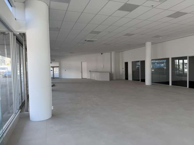 54 Cambridge Terrace Te Aro_4