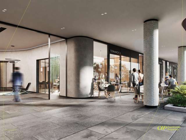 Whole Building/9 Marewa Road Greenlane_3