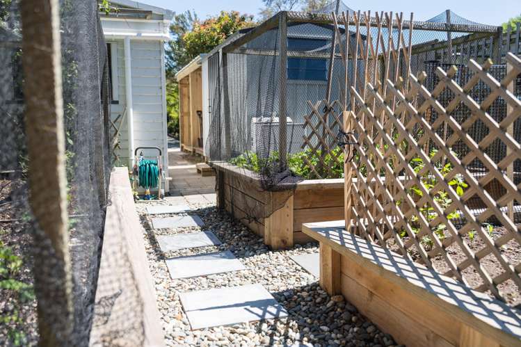 682 Puketapu Road Puketapu_20