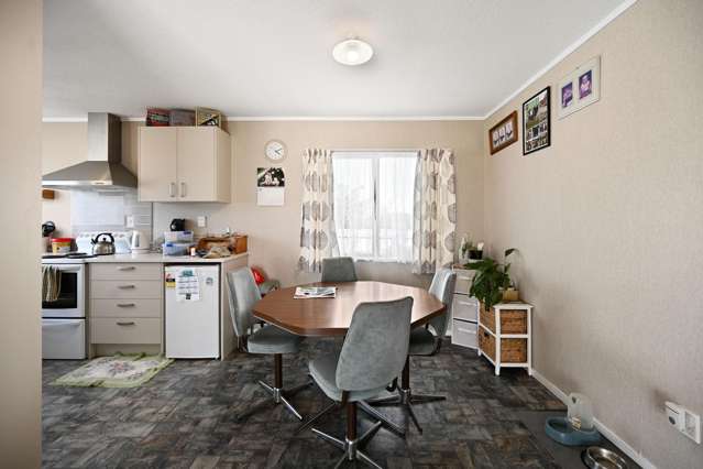 28 Metro Avenue Nawton_3