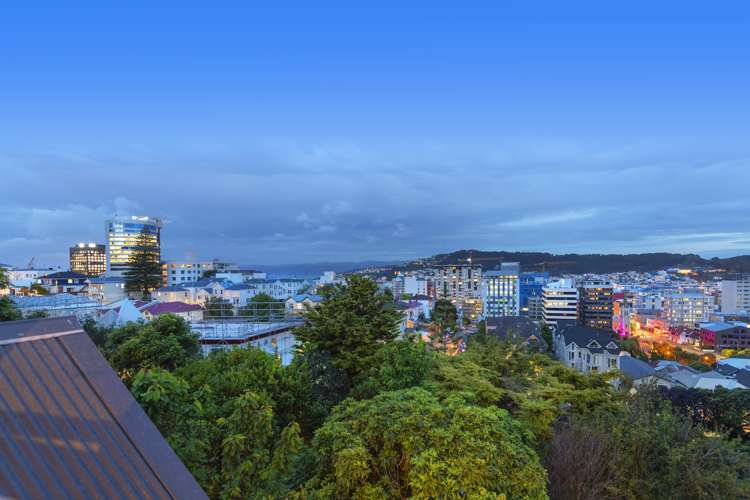 2 Maurice Terrace Te Aro_12