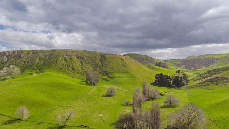 352 Hatuma Road Waipukurau and Surrounds_6