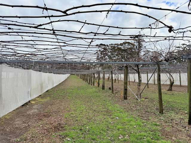 881B Te Matai Road Te Puke_4