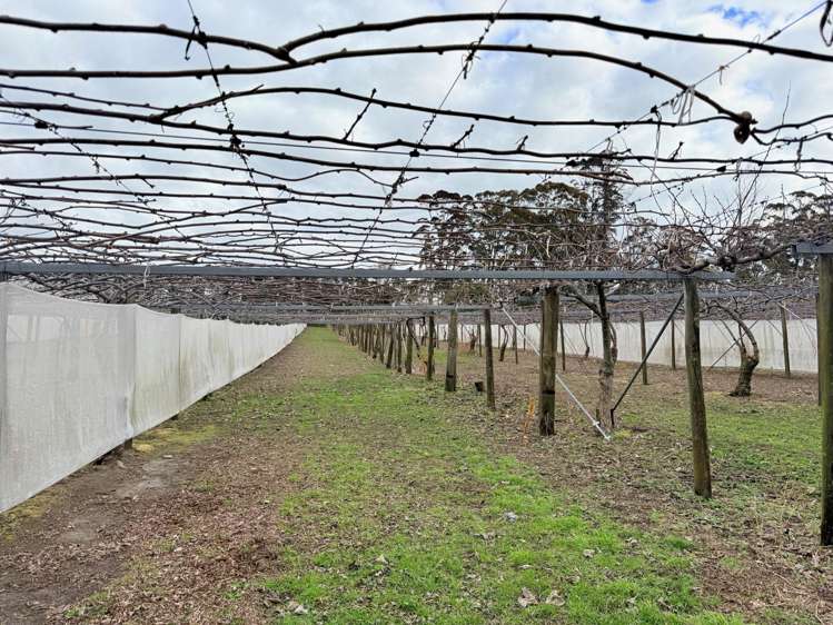 881B Te Matai Road Te Puke_4