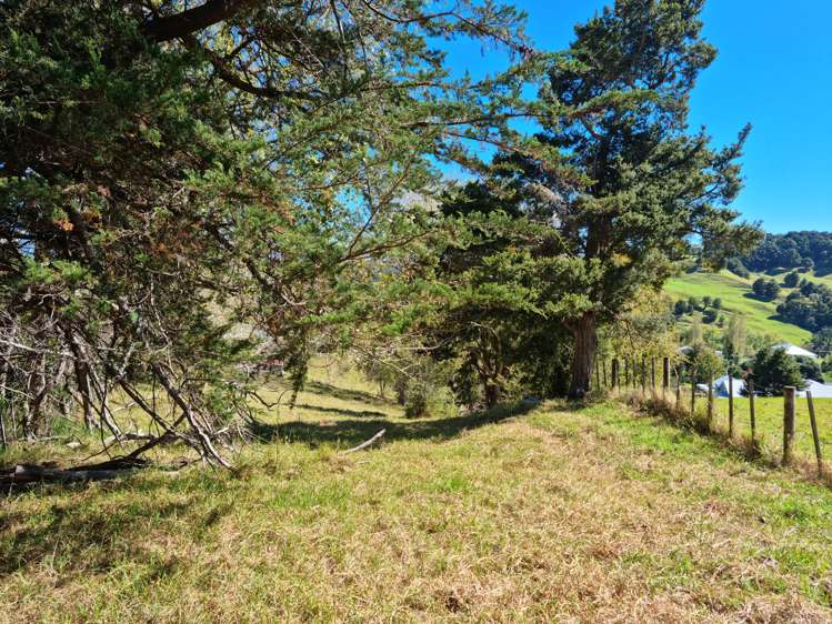 1938 Paparoa Valley Road Paparoa_7