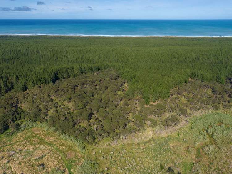 Lot 2/DP170782 Wilson Road South Head_12