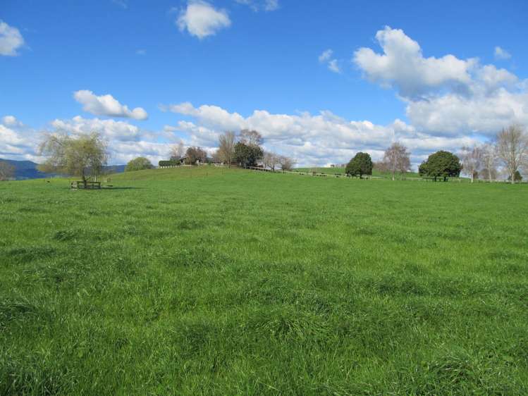 253 Rangitanuku Road Te Poi_7