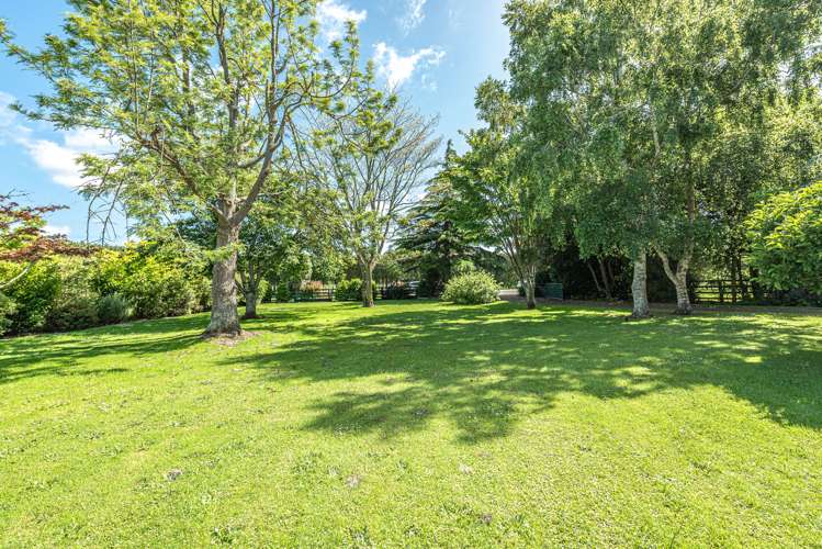 431 Kaikokopu Road Brunswick_21