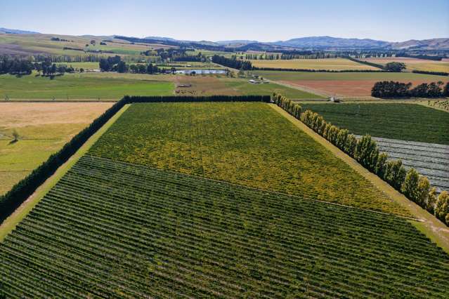 253 Mackenzies Road Waipara_3