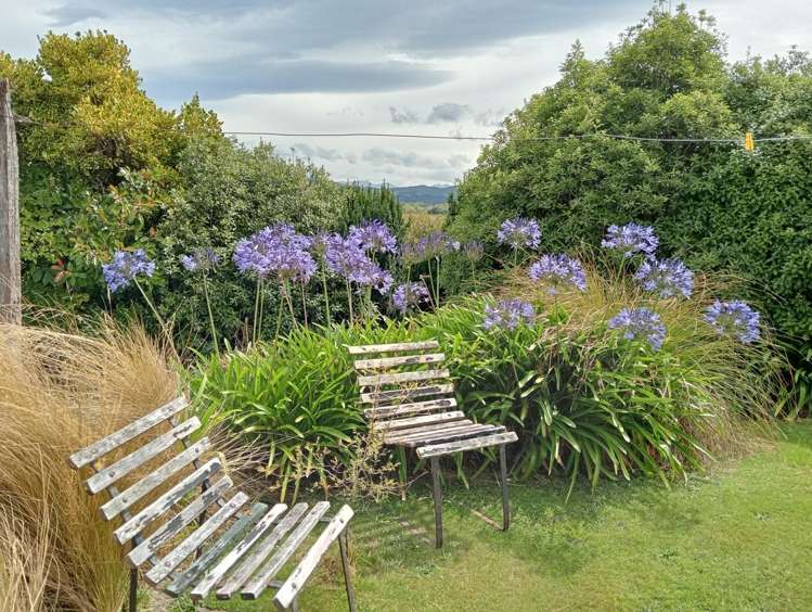 1A Main Road Tuatapere_14