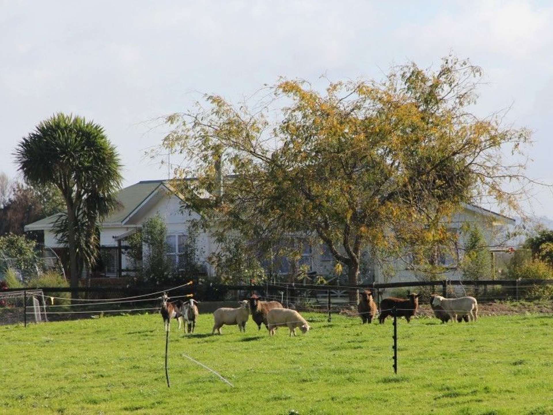 348 Bush Road Turua_0