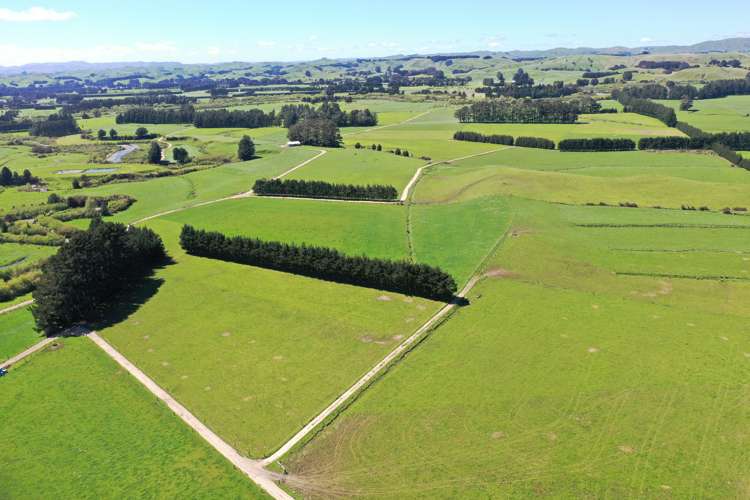 339 Mangaroa Road Eketahuna_9