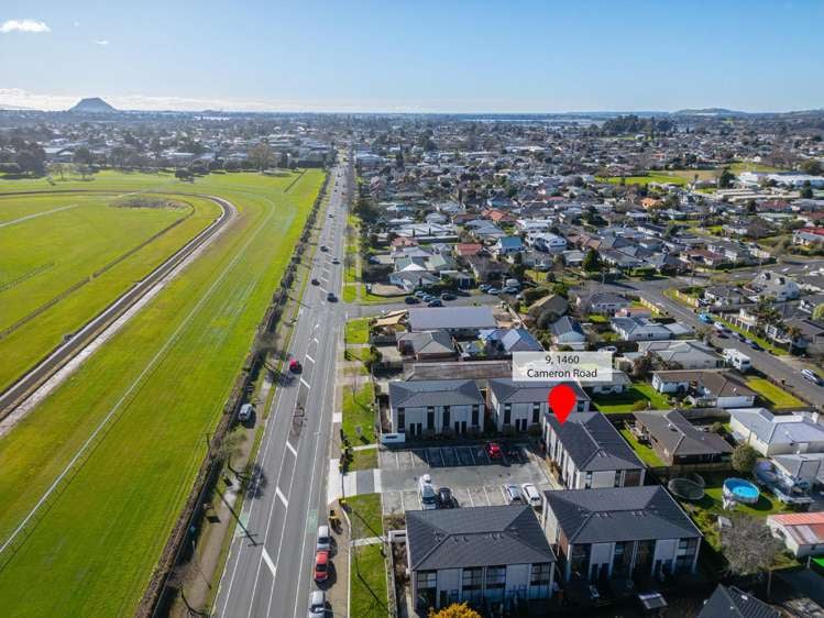 9/1460 Cameron Road Tauranga Central_12