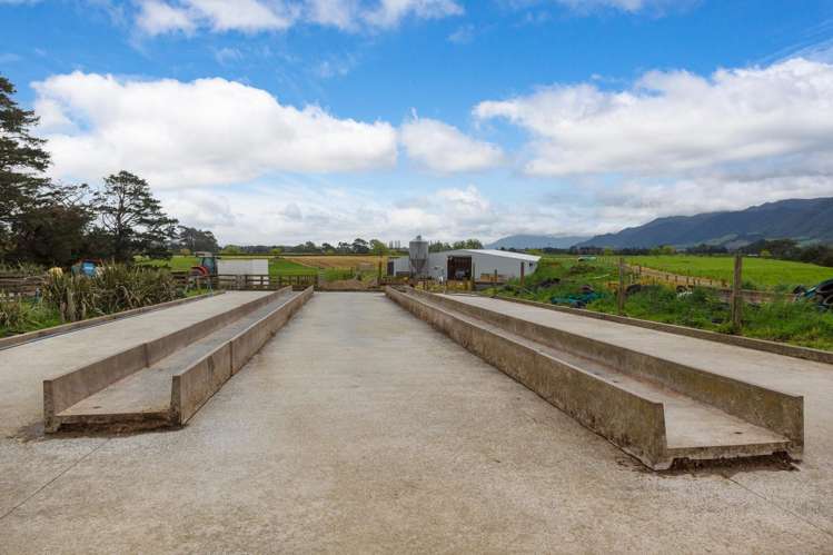 109B Te Tuhi Road, Okauia Matamata_10