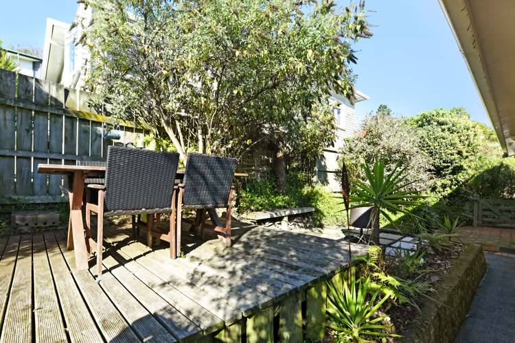 12 Piko Street Toi Toi_15